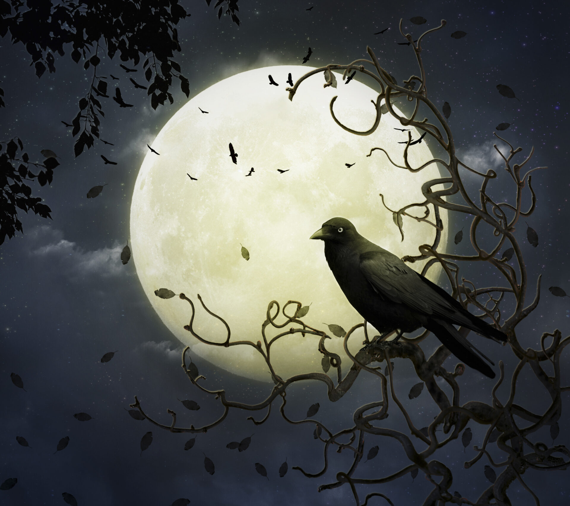 A crow silhouetted before a full moon